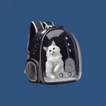 As Melhores Bolsas de Passeio para Pets em 2025