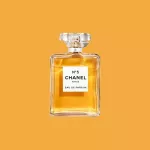 Os 4 Melhores Perfumes Femininos Chanel para Mulheres Elegantes em 2024