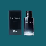 Os 6 Melhores Perfumes Masculinos Christian Dior para Homens em 2024