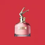 Os 9 Melhores Perfumes Femininos Jean Paul Gaultier em 2024: Classique, Scandal