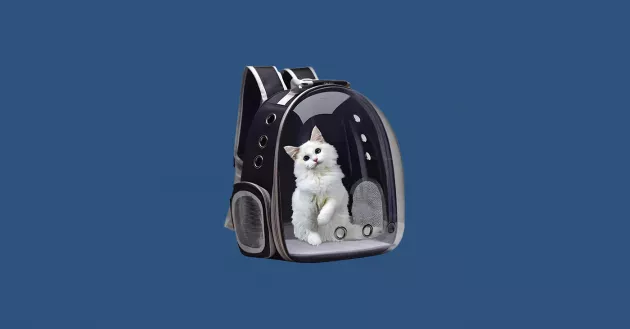 As Melhores Bolsas de Passeio para Pets em 2024